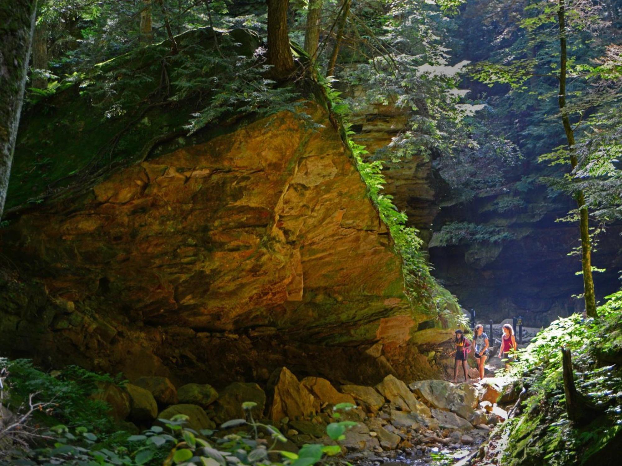 Turkey Run Inn & Cabins Marshall ภายนอก รูปภาพ